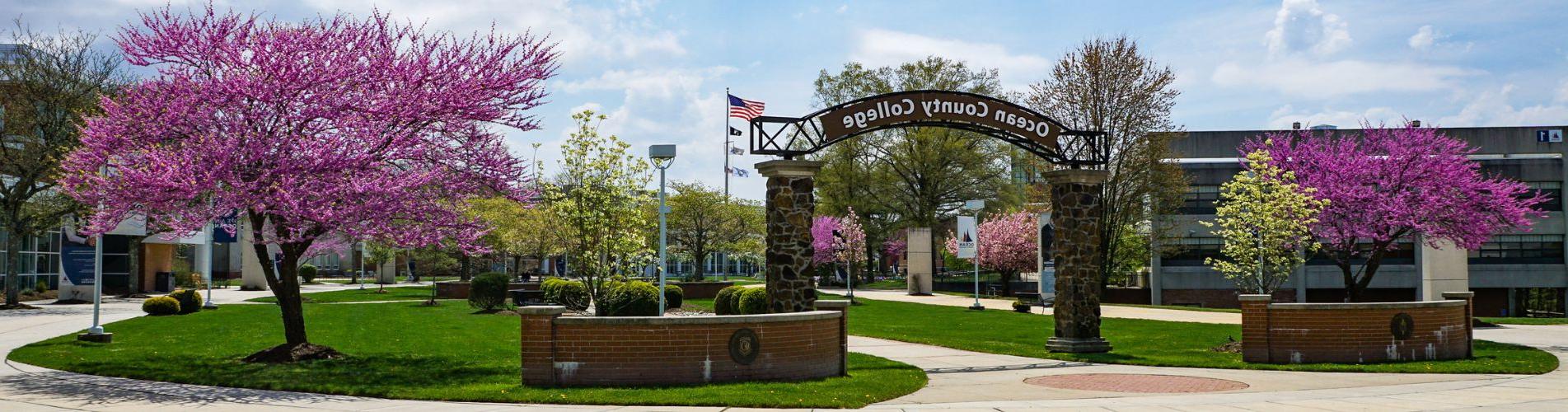 Photo of the campus arch in the spring